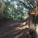 Cherry Douro Hill 別荘 レゼンデ