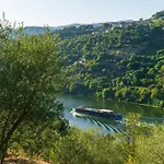 別荘 Cherry Douro Hill