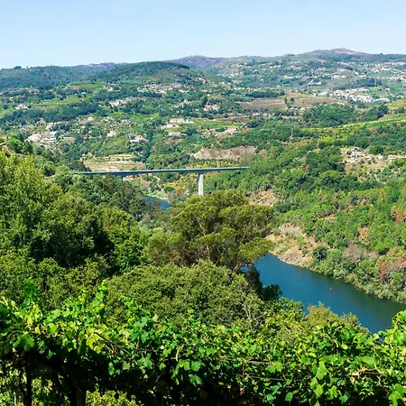 Cherry Douro Hill *