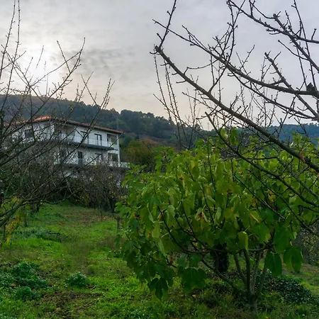 Cherry Douro Hill بيت للعطل ريزندي