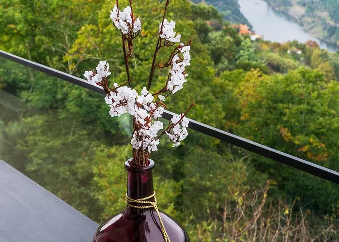 Cherry Douro Hill Prázdninový dům