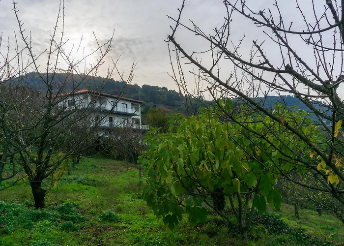 Cherry Douro Hill Сasa de vacaciones Resende