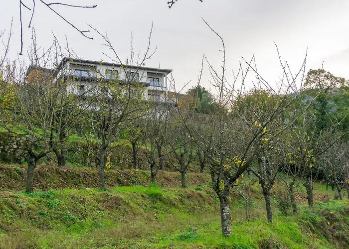 Tatil Evi Cherry Douro Hill *