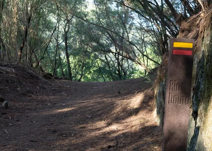 Cherry Douro Hill Casa de Férias Resende