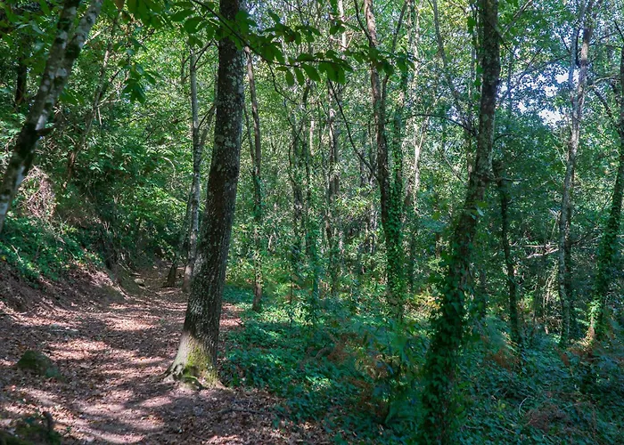 Cherry Douro Hill Resende