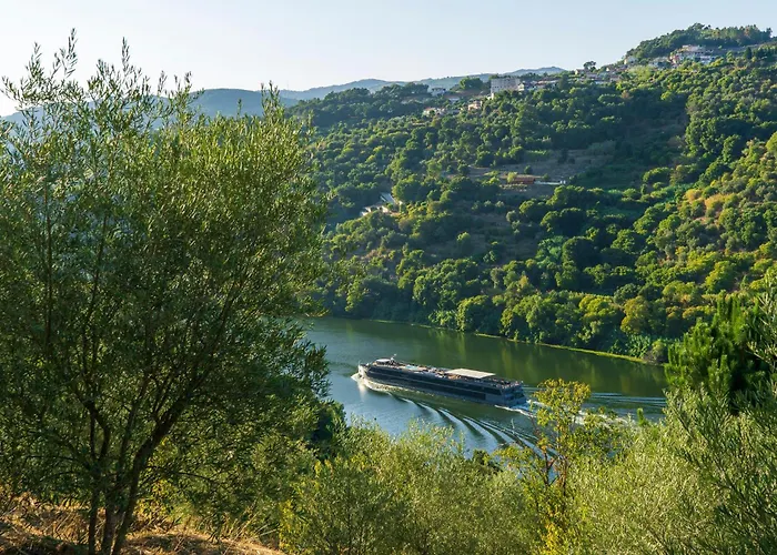 Сasa de vacaciones Cherry Douro Hill